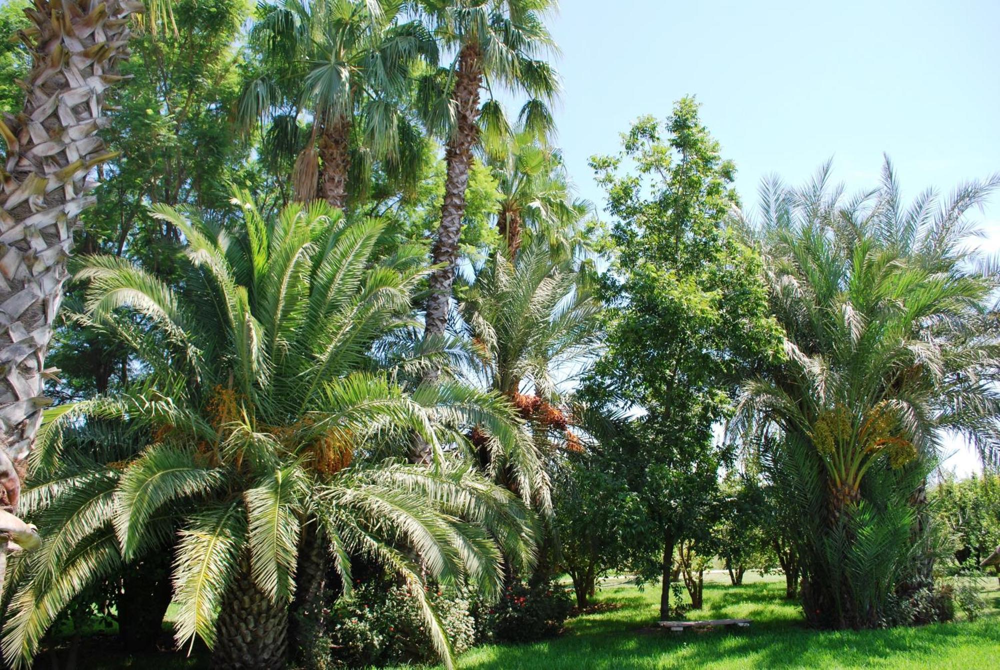 מלון Douar Azib el goundafi Casa Taos מראה חיצוני תמונה